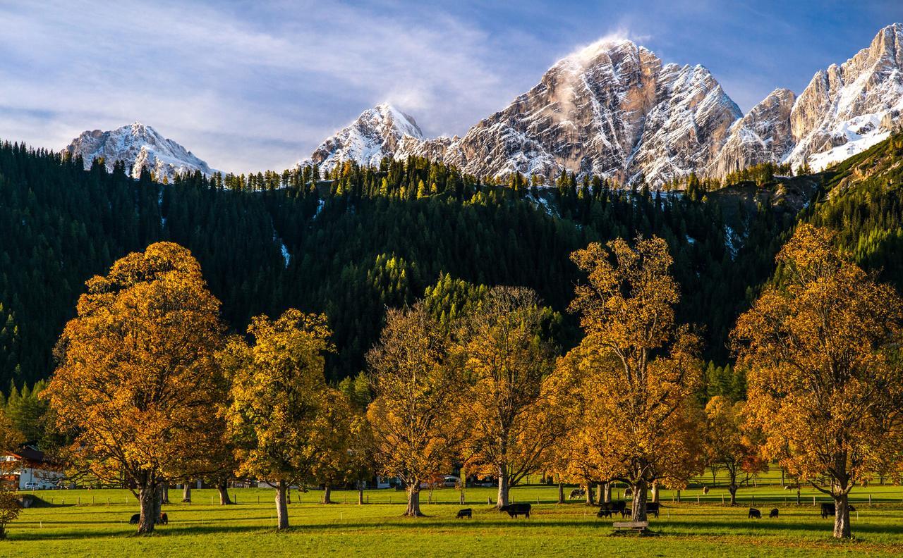 Hotel Matschner Ramsau am Dachstein Ngoại thất bức ảnh